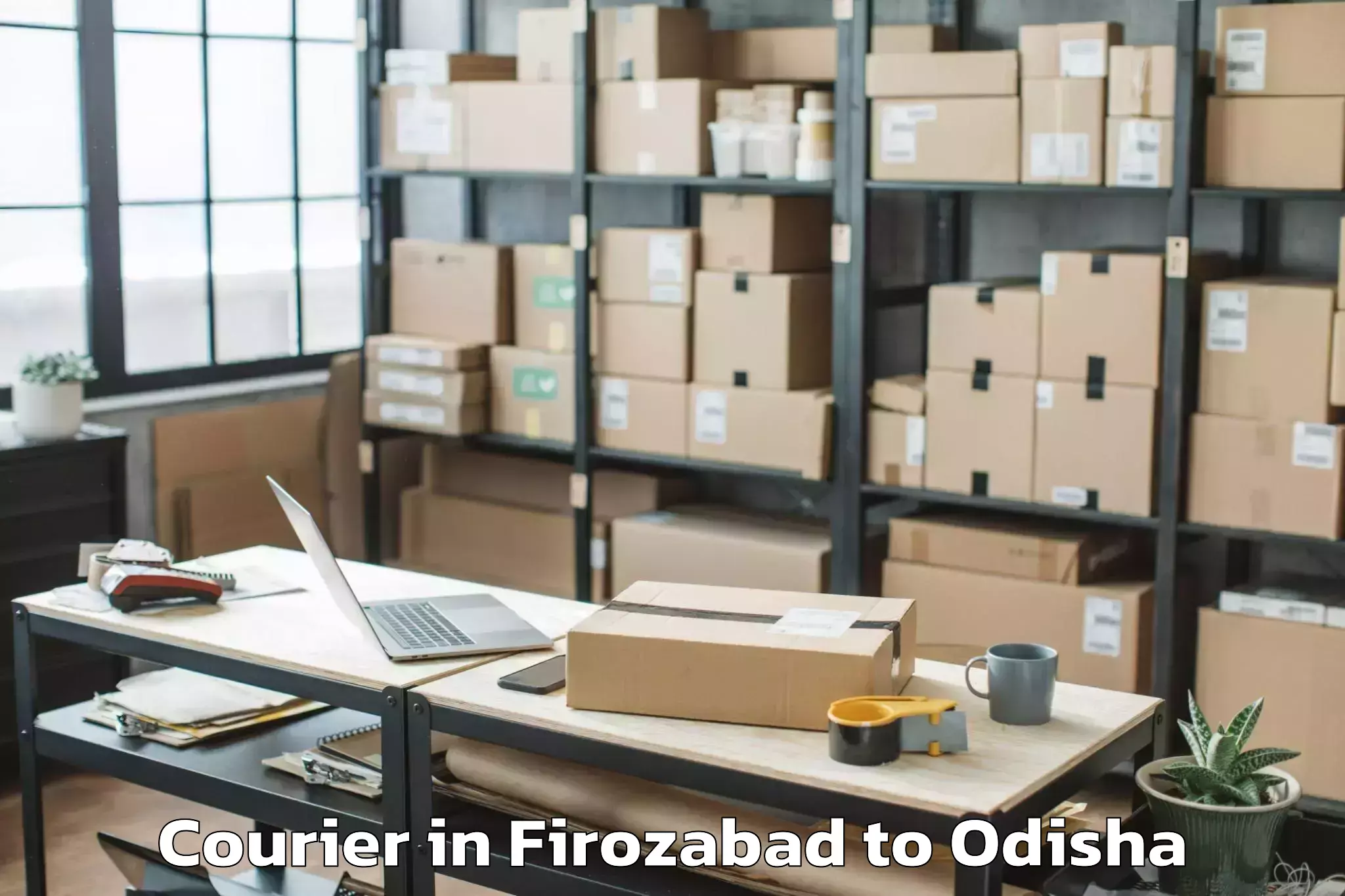 Top Firozabad to Banposh Courier Available